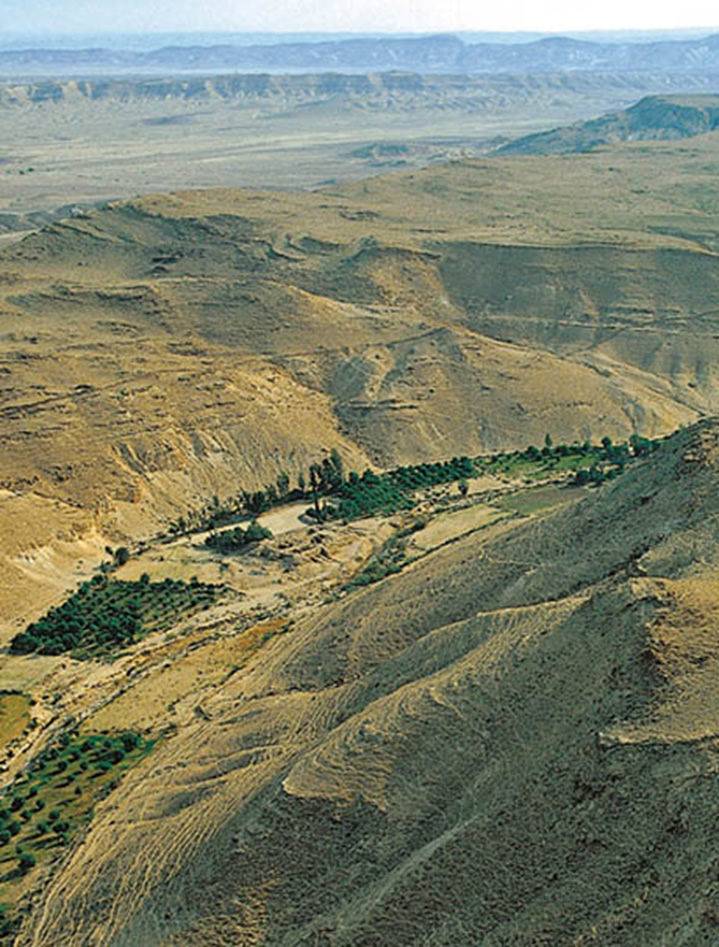 Valle en el desierto, Wadi